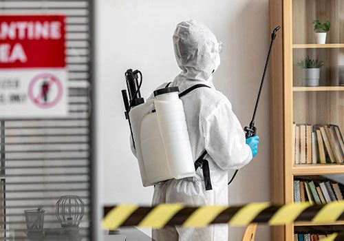 Top 5 Reasons to Hire Professional Pest Control in Glasgow