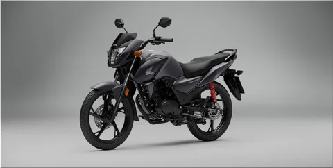 Best Honda Bikes for Families: A Clear Comparison for 2026